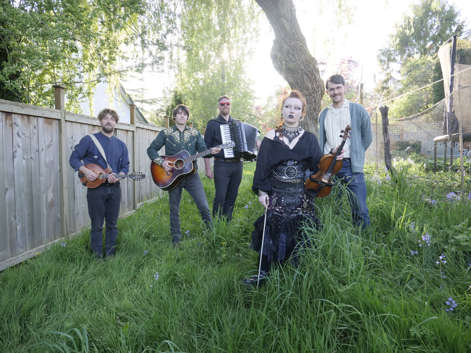 The Hounds of Cuchulain live
