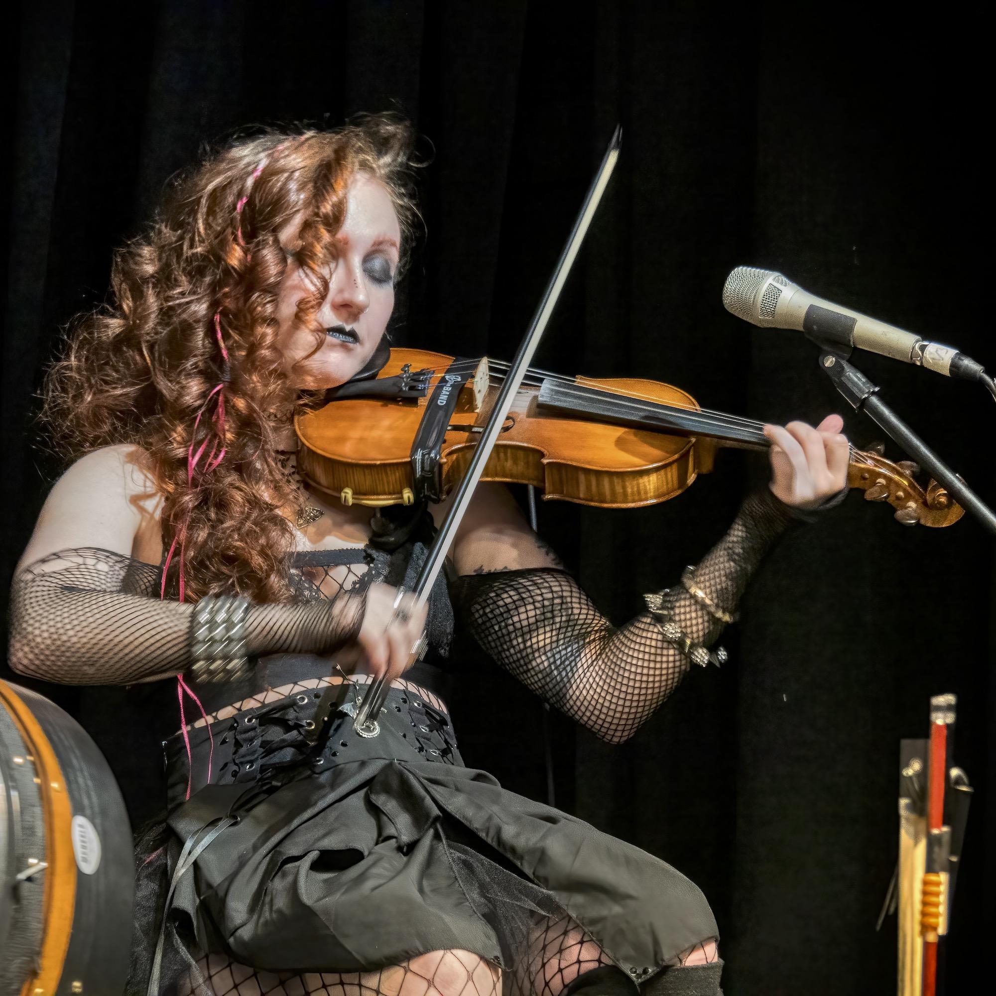 The Hounds of Cuchulain live