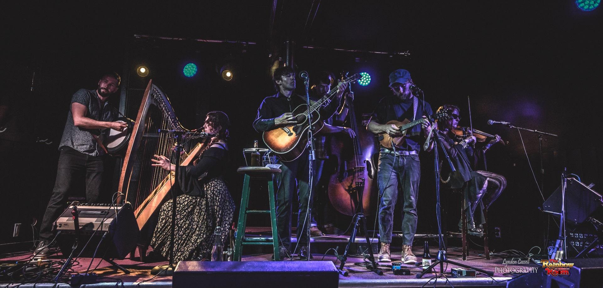 The Hounds of Cuchulain live